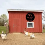 Custom Chicken Coop Sign